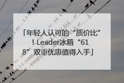 年轻人认可的“质价比”！Leader冰箱“618”双重优惠值得入手