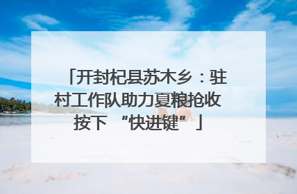开封杞县苏木乡：驻村工作队助力夏粮抢收按下 “快进键”