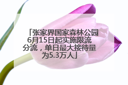 张家界国家森林公园6月15日起实施限流分流，单日最大接待量为5.3万人