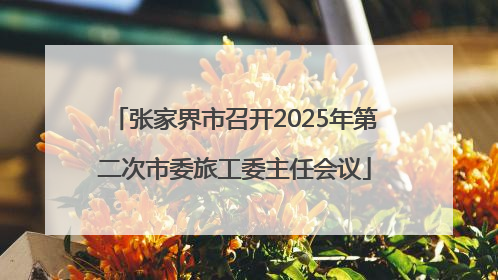 张家界市召开2025年第二次市委旅工委主任会议