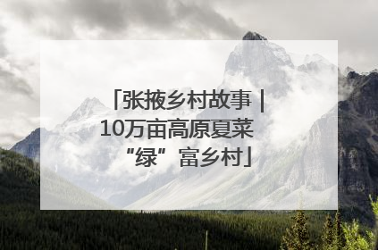 张掖乡村故事｜10万亩高原夏菜“绿”富乡村