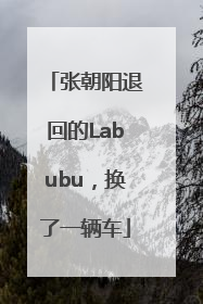 张朝阳退回的Labubu，换了一辆车
