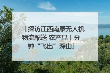 探访江西南康无人机物流配送 农产品十分钟“飞出”深山