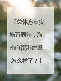总体方案实施五周年，海南自贸港建设怎么样了？