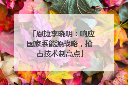 恩捷李晓明：响应国家系能源战略，抢占技术制高点