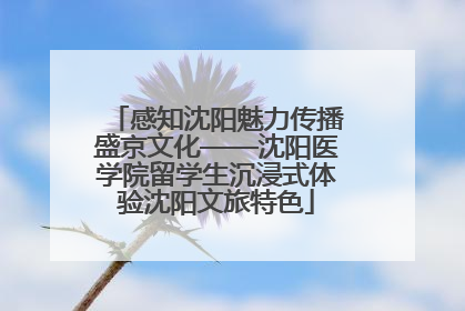 感知沈阳魅力传播盛京文化——沈阳医学院留学生沉浸式体验沈阳文旅特色