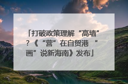 打破政策理解“高墙”？《“营”在自贸港 “画”说新海南》发布