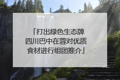 打出绿色生态牌 四川巴中在蓉对优质食材进行组团推介