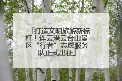 打造文明旅游新标杆！连云港云台山景区“行者”志愿服务队正式出征
