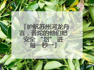护航苏州河龙舟赛，普陀的他们把安全 “划” 进每一秒→