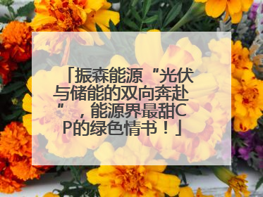振森能源“光伏与储能的双向奔赴”，能源界最甜CP的绿色情书！