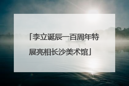 李立诞辰一百周年特展亮相长沙美术馆