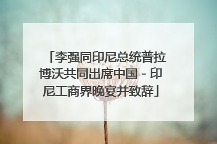 李强同印尼总统普拉博沃共同出席中国－印尼工商界晚宴并致辞