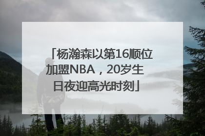 杨瀚森以第16顺位加盟NBA，20岁生日夜迎高光时刻