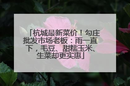 杭城最新菜价！勾庄批发市场老板：雨一直下，毛豆、甜糯玉米、生菜却更实惠