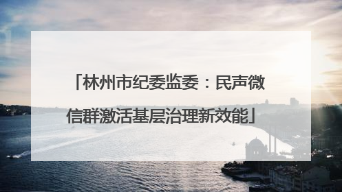 林州市纪委监委：民声微信群激活基层治理新效能