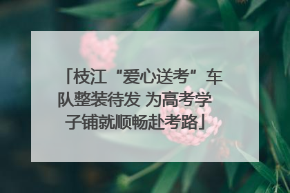 枝江“爱心送考”车队整装待发 为高考学子铺就顺畅赴考路
