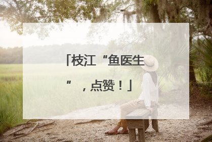枝江“鱼医生”，点赞！