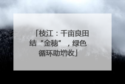 枝江：千亩良田结“金穗”，绿色循环助增收