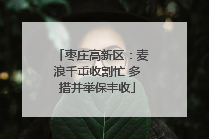 枣庄高新区：麦浪千重收割忙 多措并举保丰收