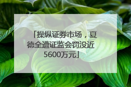 操纵证券市场，夏德全遭证监会罚没近5600万元