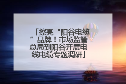 擦亮“阳谷电缆”品牌！市场监管总局到阳谷开展电线电缆专题调研