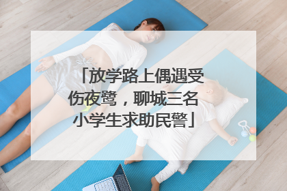 放学路上偶遇受伤夜鹭，聊城三名小学生求助民警