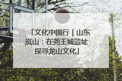 文化中国行｜山东岚山：在尧王城遗址探寻龙山文化