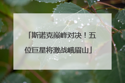 斯诺克巅峰对决！五位巨星将激战峨眉山