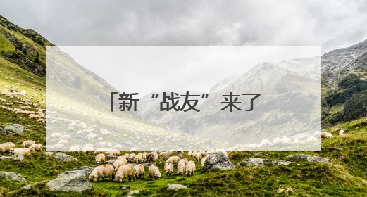 新“战友”来了！超飒雪豹IP“兵小宁”亮相