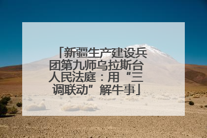新疆生产建设兵团第九师乌拉斯台人民法庭：用“三调联动”解牛事