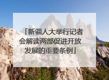 新疆人大举行记者会解读两部促进开放发展的重要条例