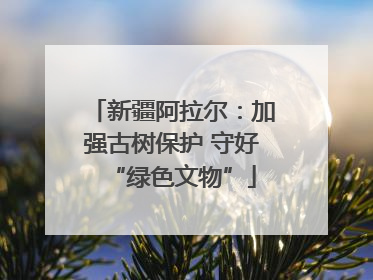 新疆阿拉尔：加强古树保护 守好“绿色文物”