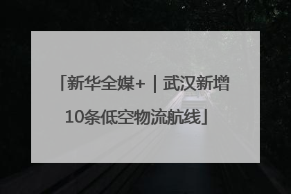 新华全媒+｜武汉新增10条低空物流航线