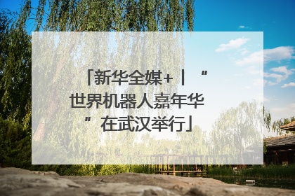 新华全媒+丨“世界机器人嘉年华”在武汉举行
