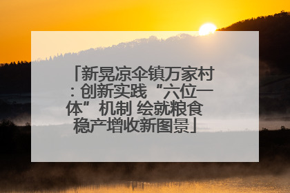 新晃凉伞镇万家村：创新实践“六位一体”机制 绘就粮食稳产增收新图景