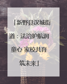 新野县汉城街道：法治护航润童心 家校共育筑未来