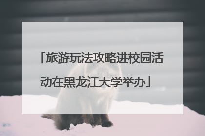 旅游玩法攻略进校园活动在黑龙江大学举办