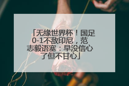 无缘世界杯！国足0-1不敌印尼，范志毅语塞：早没信心了但不甘心