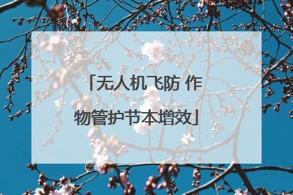 无人机飞防 作物管护节本增效