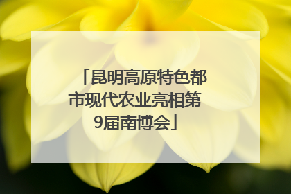 昆明高原特色都市现代农业亮相第9届南博会