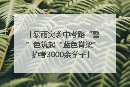 暴雨突袭中考路“警”色筑起“蓝色脊梁”护考3000余学子