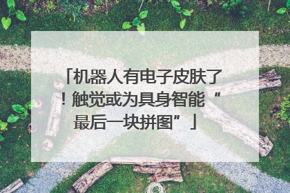 机器人有电子皮肤了！触觉或为具身智能“最后一块拼图”