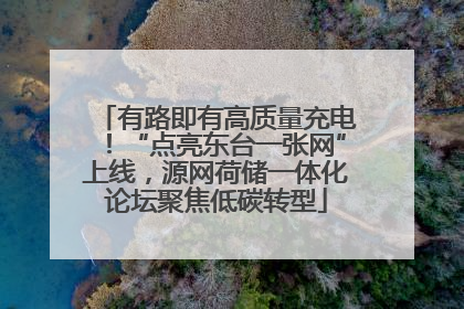 有路即有高质量充电！“点亮东台一张网”上线，源网荷储一体化论坛聚焦低碳转型