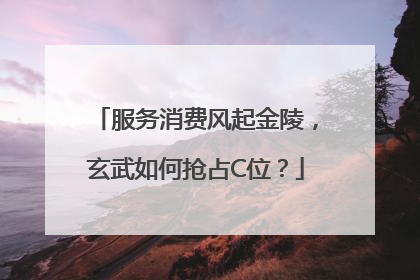 服务消费风起金陵，玄武如何抢占C位？