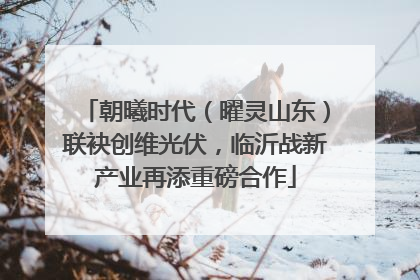朝曦时代（曜灵山东）联袂创维光伏，临沂战新产业再添重磅合作