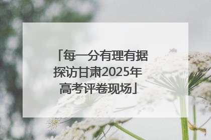 每一分有理有据 探访甘肃2025年高考评卷现场