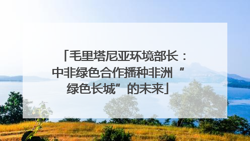 毛里塔尼亚环境部长：中非绿色合作播种非洲“绿色长城”的未来
