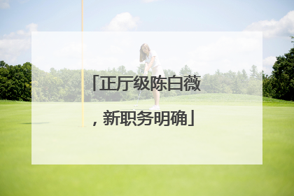 正厅级陈白薇，新职务明确