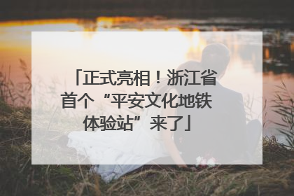 正式亮相！浙江省首个“平安文化地铁体验站”来了